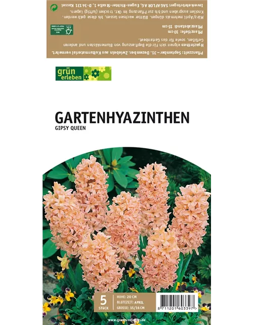 Gartenhyazinthen