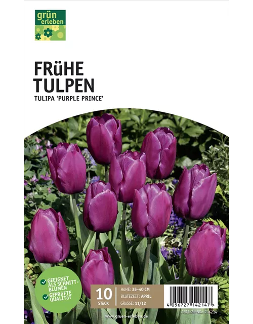 Einfache frühe Tulpen