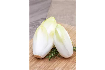 HERBSTSALATE HERBSTSALATE