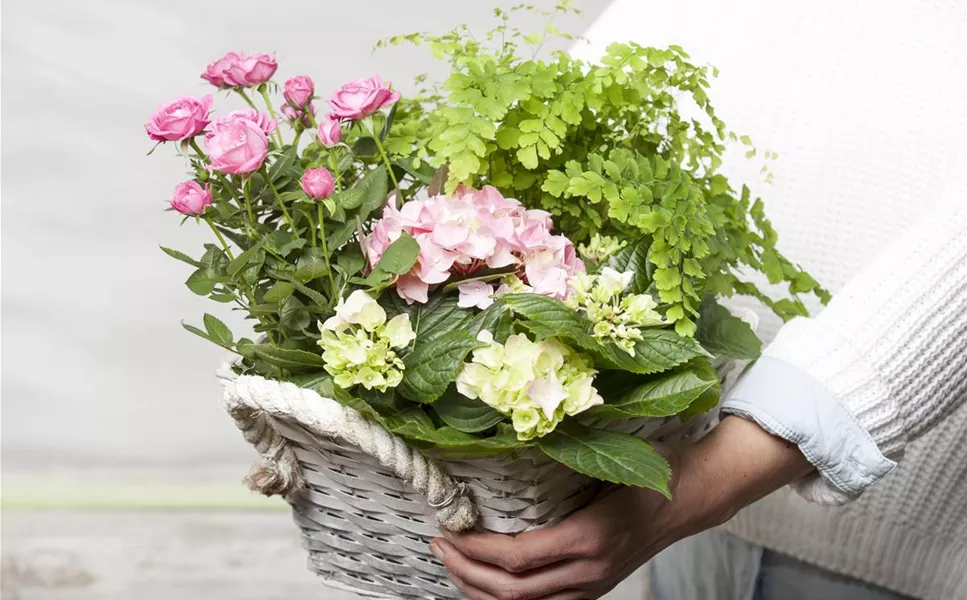 Kreative Ideen - Gutschein selbst gestalten