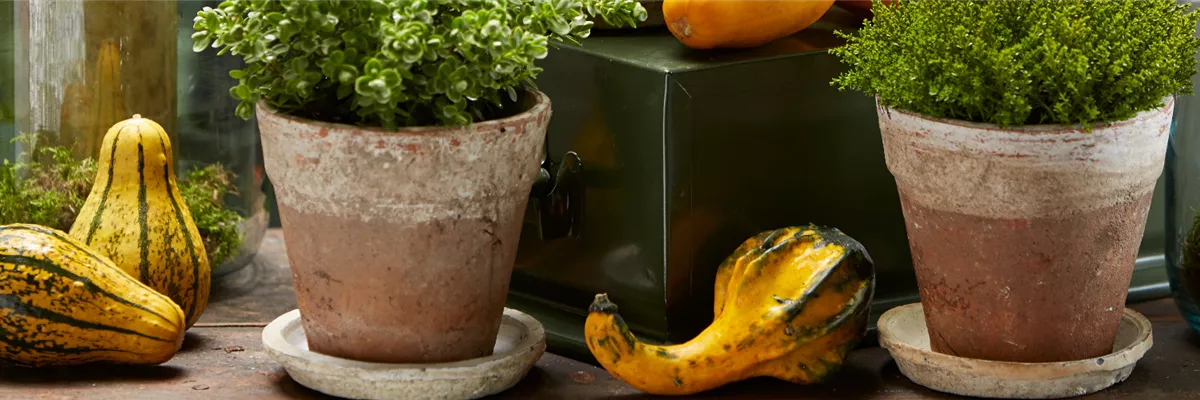 MUST-HAVES FÜR DEN HERBST!