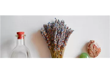 TROCKENBLUMEN!