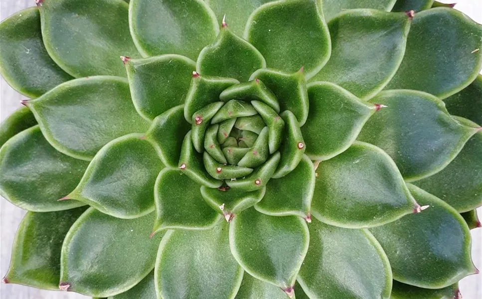 QUALITÄT ERLEBEN - UNSER SERVICE