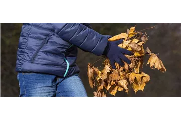 TO-DO'S IM OKTOBER TO-DO'S IM OKTOBER