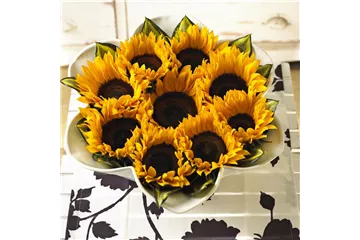 DIE TOP 8 DER HERBSTBLUMEN DIE TOP 8 DER HERBSTBLUMEN