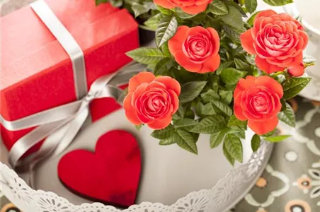 EINE BLUME SAGT MEHR ALS 1000 WORTE