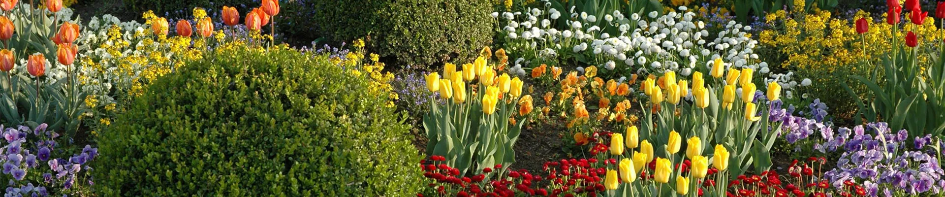 EINE TüTE VOLL FRüHLING!