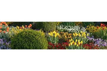 Eine Tüte voll Frühling Eine Tüte voll Frühling