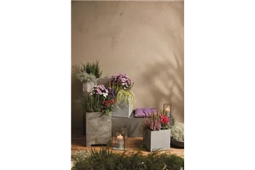 EIN KUNTERBUNTER HERBST! EIN KUNTERBUNTER HERBST!