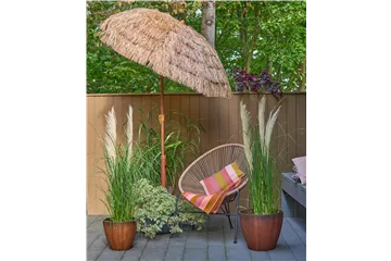 IM SOMMERGARTEN!