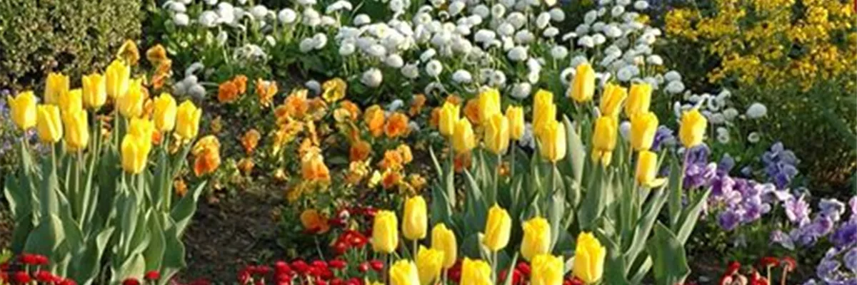 EINE TüTE VOLL FRüHLING!