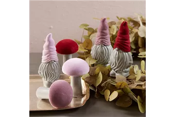 WIE GEHT...FARBENPRACHT? WIE GEHT...FARBENPRACHT?