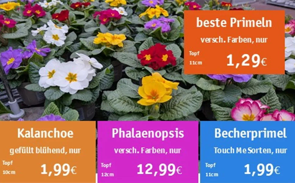 Wir sind wieder da! - Mit tollen, farbenfrohen Angeboten!