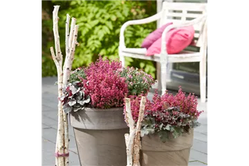 WIR KöNNEN FARBE! WIR KöNNEN FARBE!