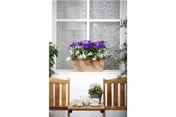 WINTERHARTE PFLANZEN FüR DEN BALKON