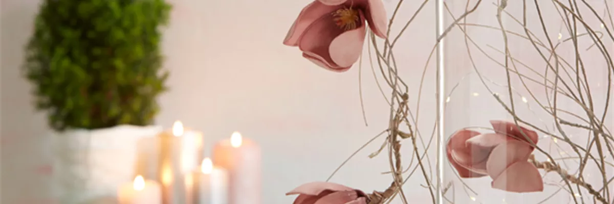 WIE GEHT... WINTERLICHER FEINSCHLIFF?